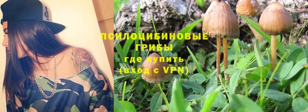 прущий лед Аркадак